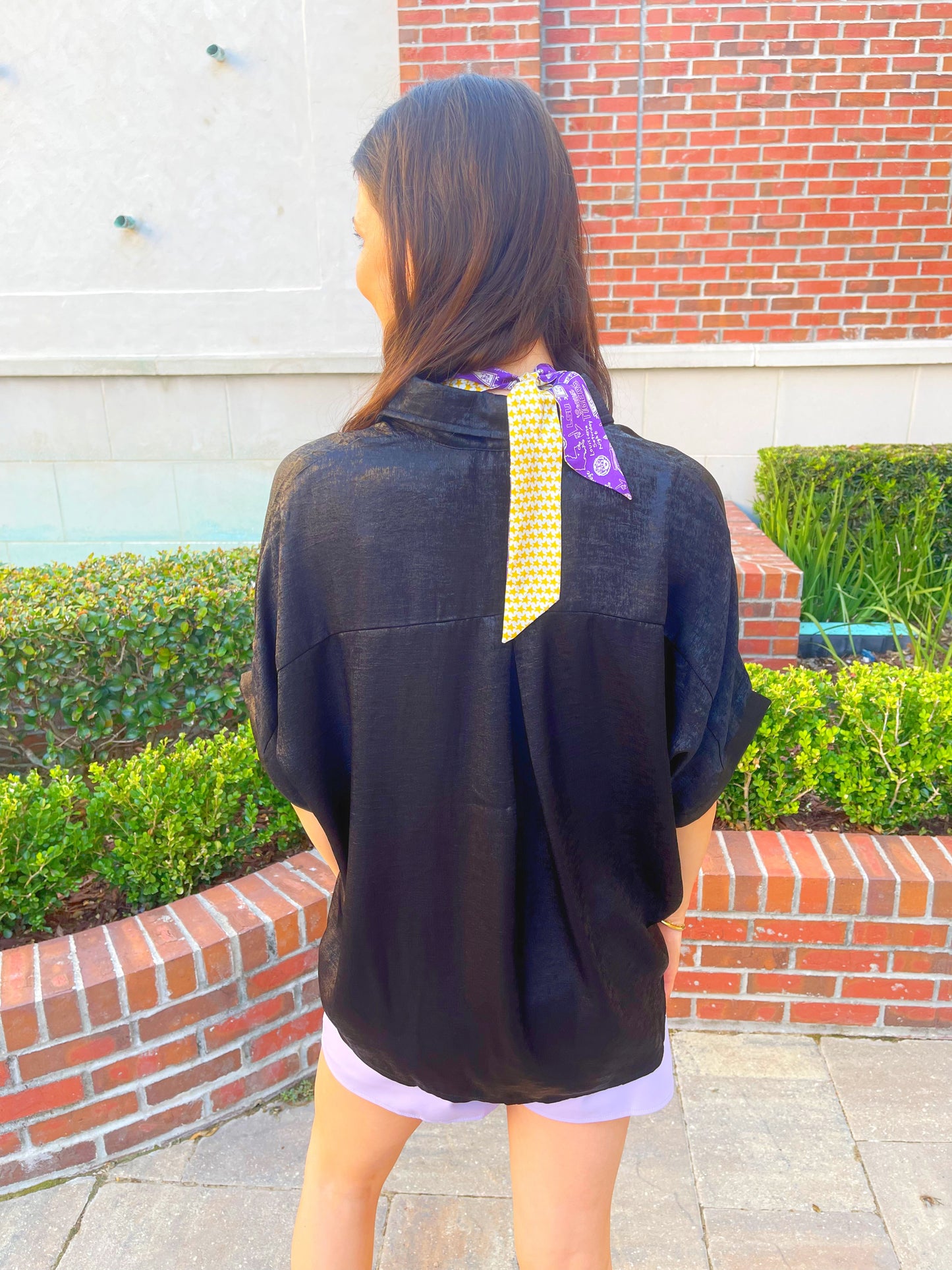 Shimmer Metallic Button Down Top